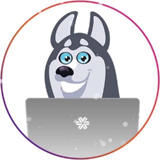 Логотип @swsaratov - SW_SARATOV_LIVESTORE