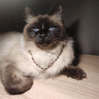 Логотип @sychevaolga - Каменные сны /украшения из натуральных камней