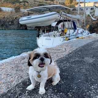 Логотип @sydaisy - Яхтенные будни