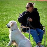 Логотип @syilers2019 - Киноблогер с хвостатыми| syilers