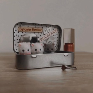 Логотип @sylvaniantreasure - Шкатулка с сильваничами