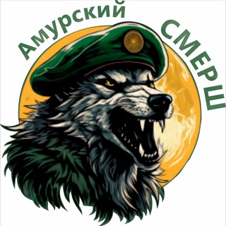 Логотип @symbol404 - Амурский СМЕРШ