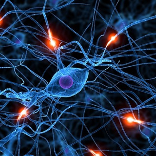 Логотип @synapsemusics - Synapse Music