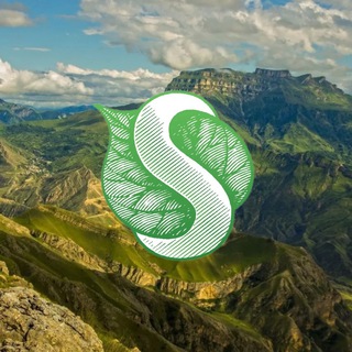 Логотип @synergetic_05 - Synergetic_05