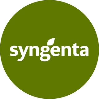 Логотип @syngenta_vegetables_seeds - Сингента — семена овощных культур