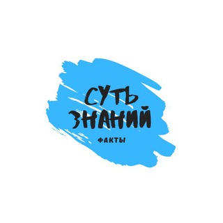 Логотип @sytznani - Суть знаний 🦧