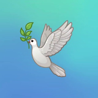 Логотип @t2024 - 2024