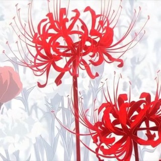 Логотип @t3lbaaby - FML