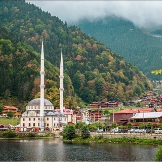 Логотип @t4allib - Записи студента