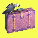 Т—Ж Чемодан