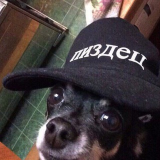 Логотип @t_stickers - Здесь должны быть стикеры