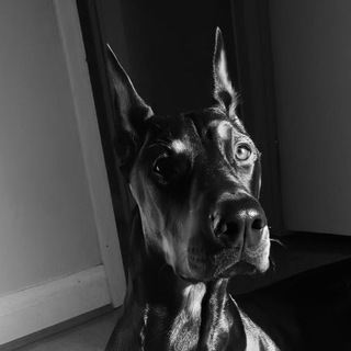 Логотип @ta_ti_poslushay - 🖤 M U S I C | МУЗЫКА 2022 | ЛУЧШИЕ РЕМИКСЫ 🖤