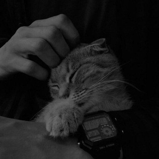 Логотип @taawhiid - тихом омуте.
