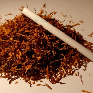 Логотип @tabak13info - TABAK13 | MrTabak