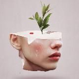 Таблетка саморазвития