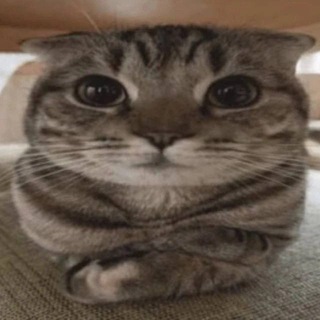 Логотип @taburet_private - Приватки от табурета