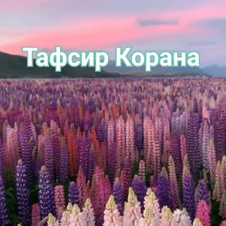 Логотип @tafsirkorana_tafsirkorana - 🔷Тафсир Корана🔷