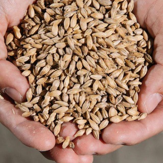 Логотип @Taganiyrog - Таганий Рог