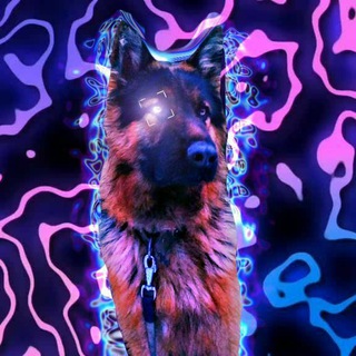 Логотип @tagirgerman1 - 💙💛 Вінницький НіМчАр🇺🇦