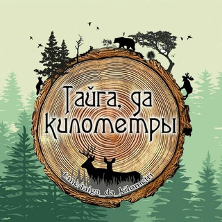 Логотип @taiga_da_kilometri - Тайга, да километры🌲