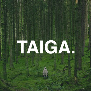 Логотип @taiga_rf - 🌲тайга