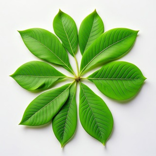 Логотип @tainatrav - Лечебник I Тайна ТРАВ