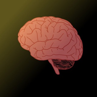 Логотип @tainy_mozga - Мозг на связи 🔹 Тайны твоего тела