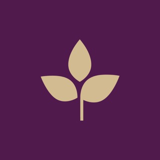 Логотип @tairairu - Тайрай — тайский спа