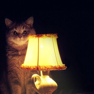 Логотип @tak_budet_tak_chat - Истории из жизни