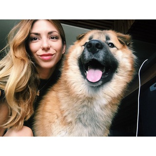 Логотип @takeakitty - Takeakitty