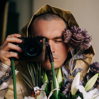 Логотип @takeanotherph - Колесо Собаки