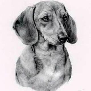 Логотип @taksa911moscow - Такса911 Москва