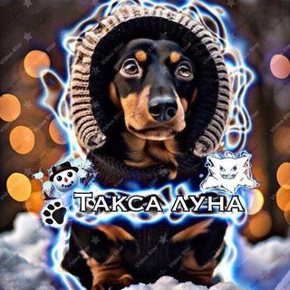 Логотип @taksaluna - 💘 Такса Луна 🐕‍🦺
