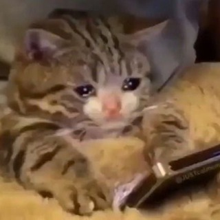 Логотип @takumimlbb - ᴄʜᴀᴛ ᴛᴀᴋᴜᴍɪ