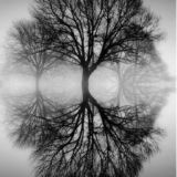 Логотип @tale_oftales - Tale of Tales