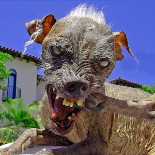 Логотип @talesfromthe_cryptkeeper - ⚠️ СТРАШНЫЕ ИСТОРИИ