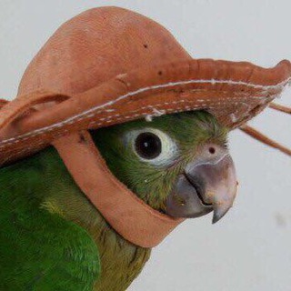 Логотип @talesoftales - Рассказы и всякое