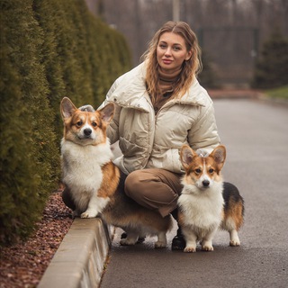 Логотип @talisman_vasilisy - Корги Talisman Vasilisy