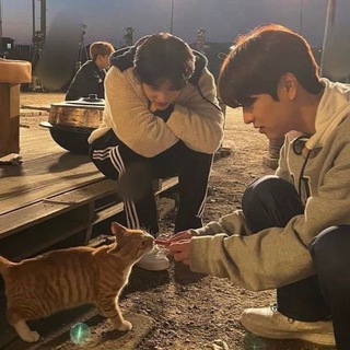 Логотип @talktalktalkq - болталка