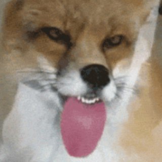 Логотип @tallsgifs - Гифки Толла | Tall's Gifs