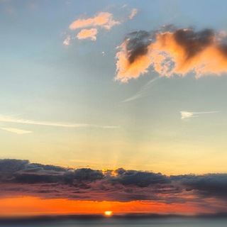 Логотип @talofmagic - Tal Of Magic