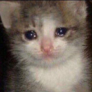 Логотип @tamerlanmem - мемы тамерлана