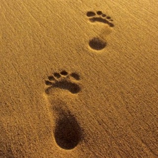 Логотип @tamlae - Tamlae