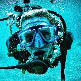 Логотип @tangoimango - Iriskiss