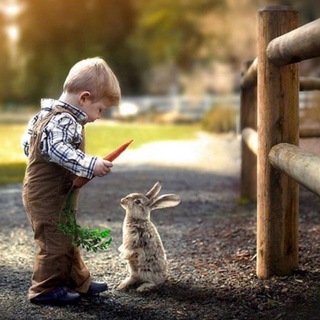 Логотип @tanhoginamjoingroup - Tanhoginam || CHATTING ARENA👥