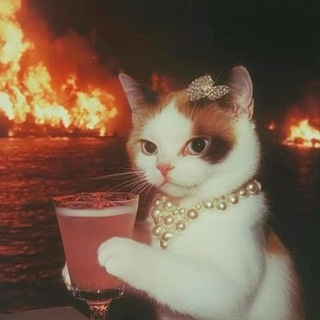 Логотип @taniacreator - Что и требовалось почитать (18+)