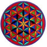 Логотип @tanil_danil_work - @tanil_danil_work