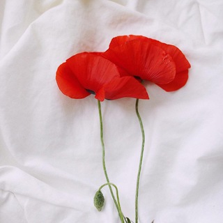 Логотип @tanyavolkovaphotography - Tanya Volkova