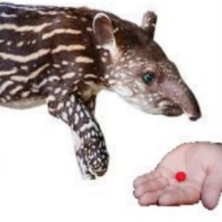 Логотип @tapirgetredpill - tapir get red pill