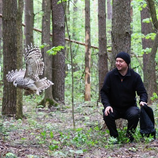 Логотип @tapki_ornitologa - Тапки орнитолога